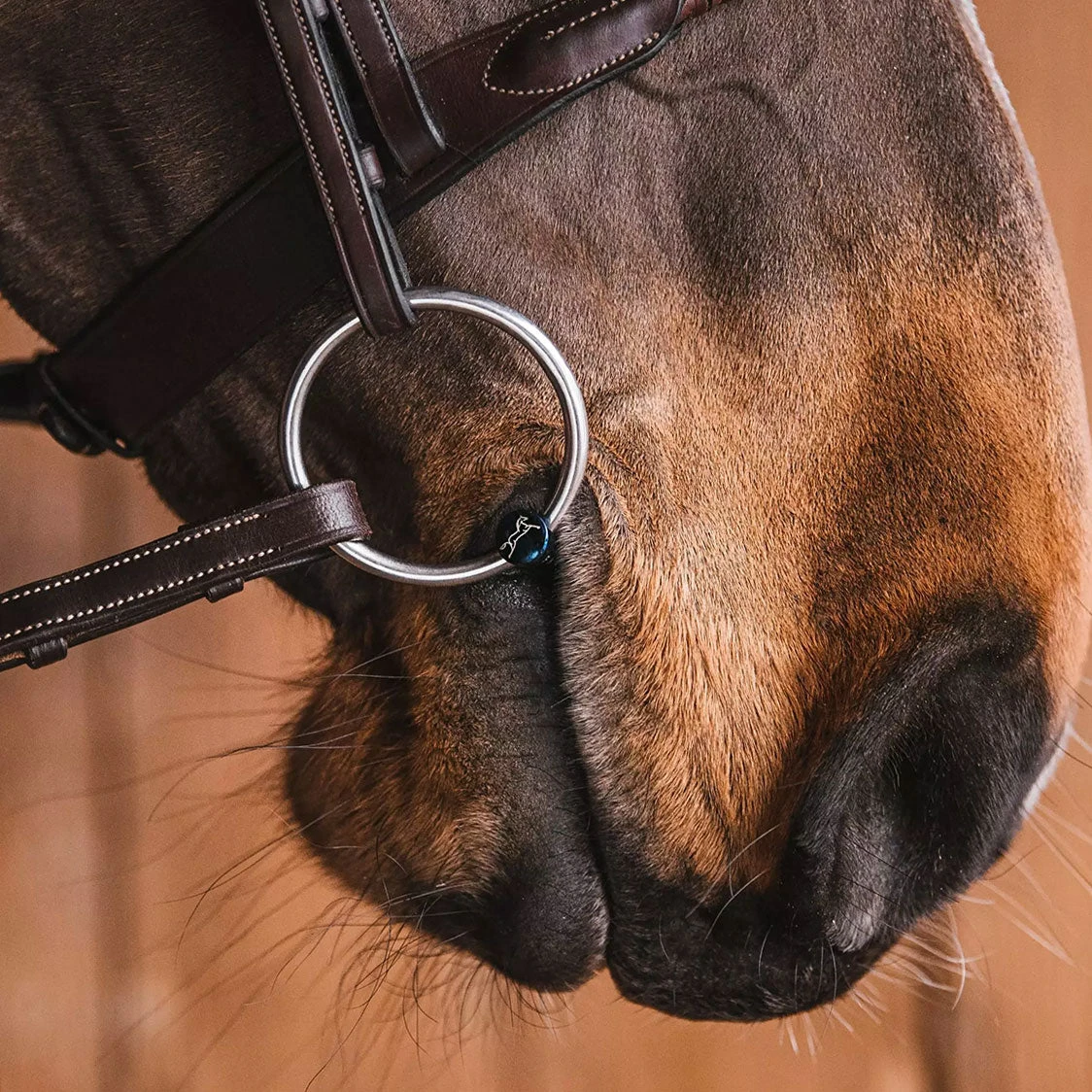 Fager Carl Titanium Loose Ring Bit - Test Ride Bit - Image 2