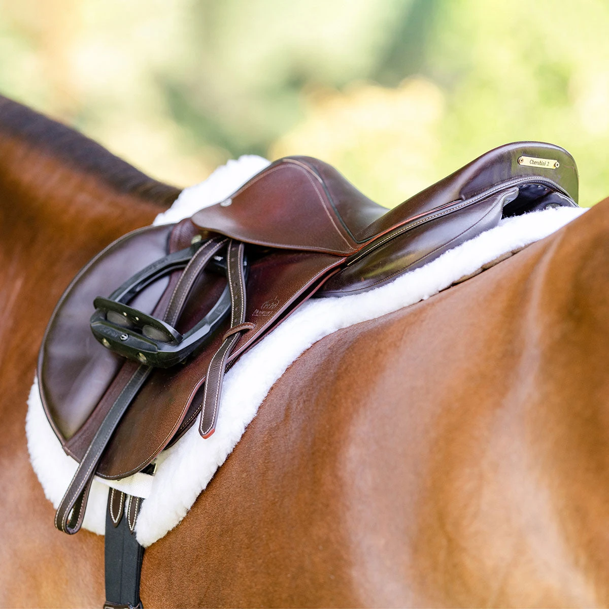 Equifit Essential Hunter Pad - Image 3