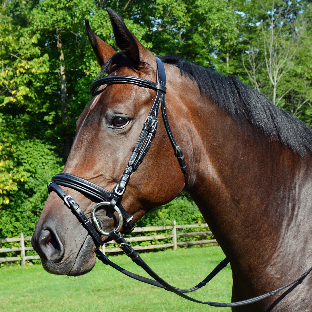 Ovation Dressage Bridle With Comfort Crown - Image 2