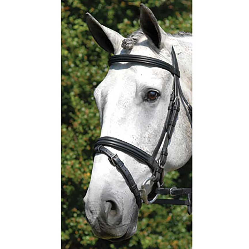 Vespucci Double Raised Dressage Snaffle Bridle - Image 2