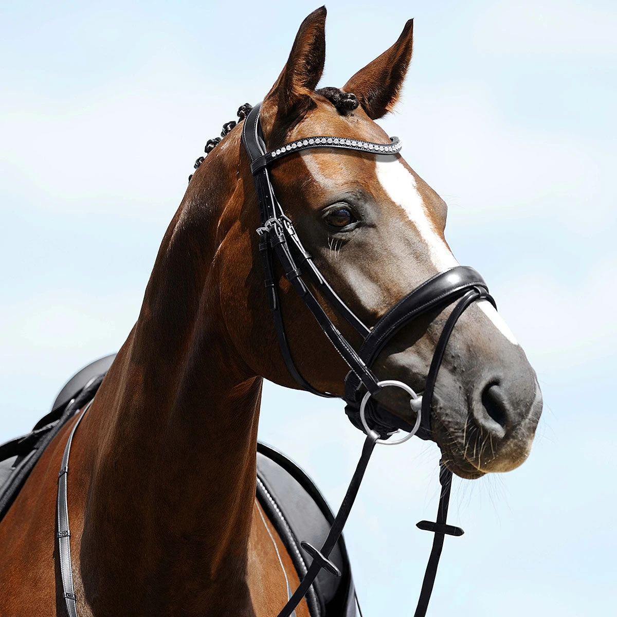 Passier Atlas Snaffle Bridle - Image 2