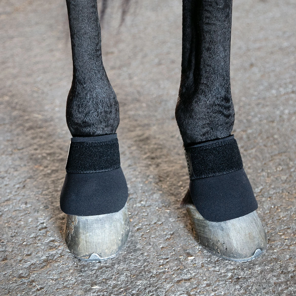 Thoroughbred Scalping Boots - Image 2