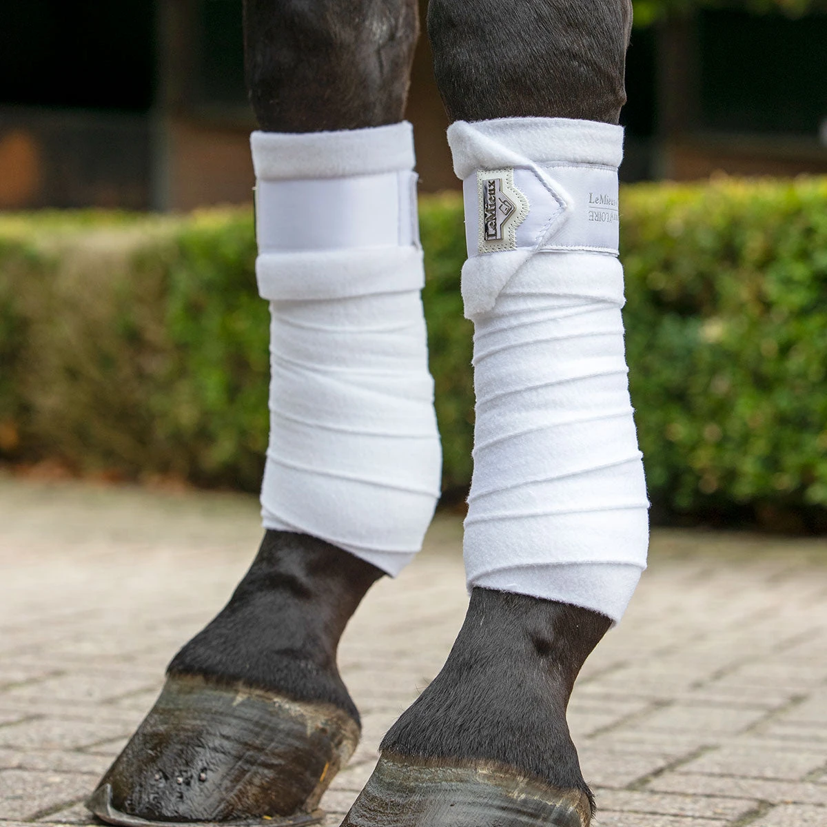 LeMieux Loire Polo Bandages - Image 2