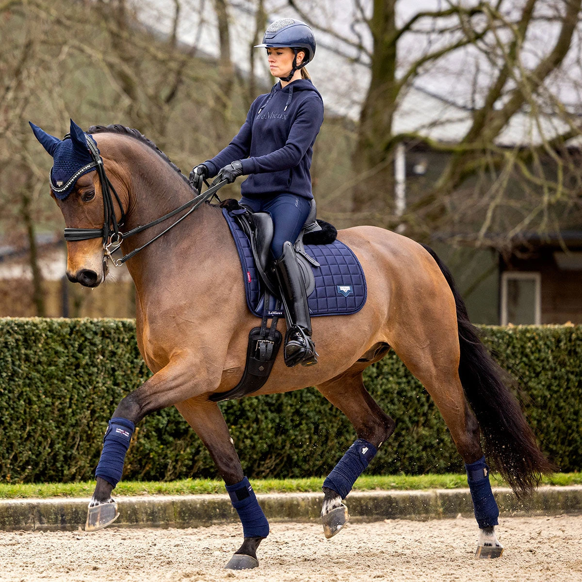 LeMieux Loire Satin Dressage Pad - Image 4