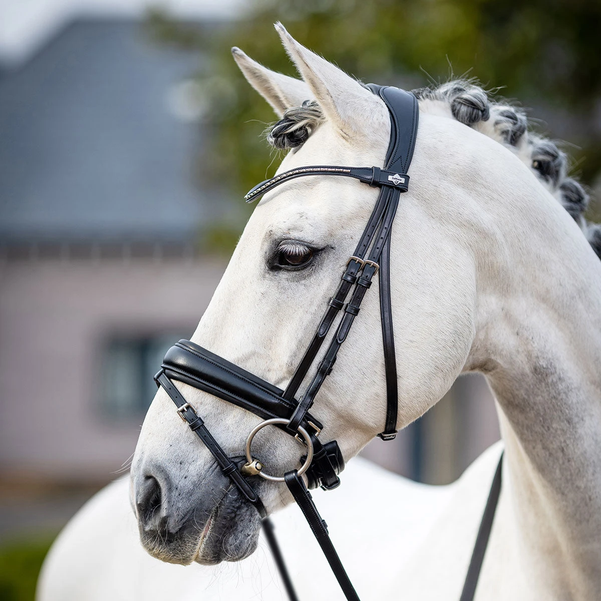 LeMieux Classic Black Dressage Bridle - Image 5